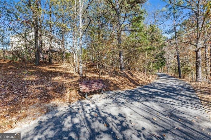 1117 GREAT GLEN Way Lawrenceville - 63