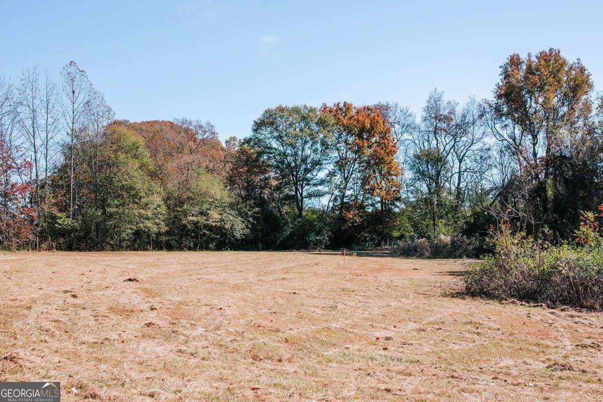 1103 Arnoldsville Road Winterville - 43