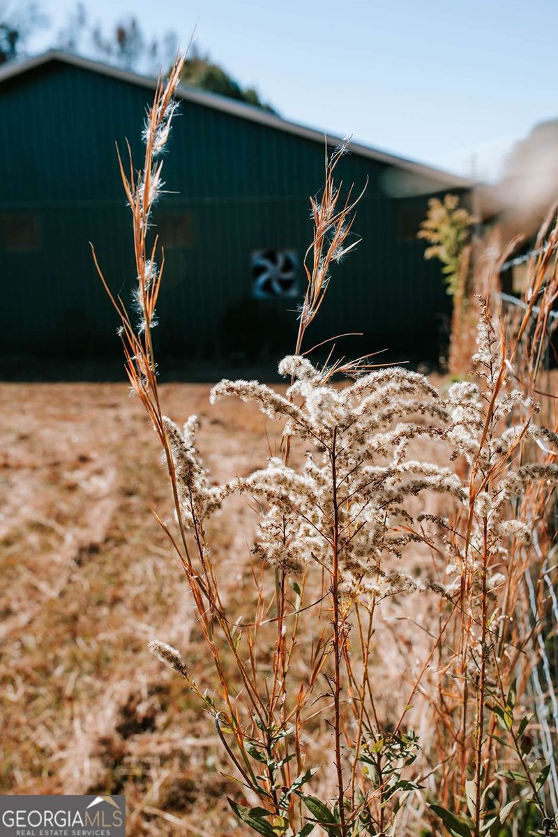 1103 Arnoldsville Road Winterville - 47