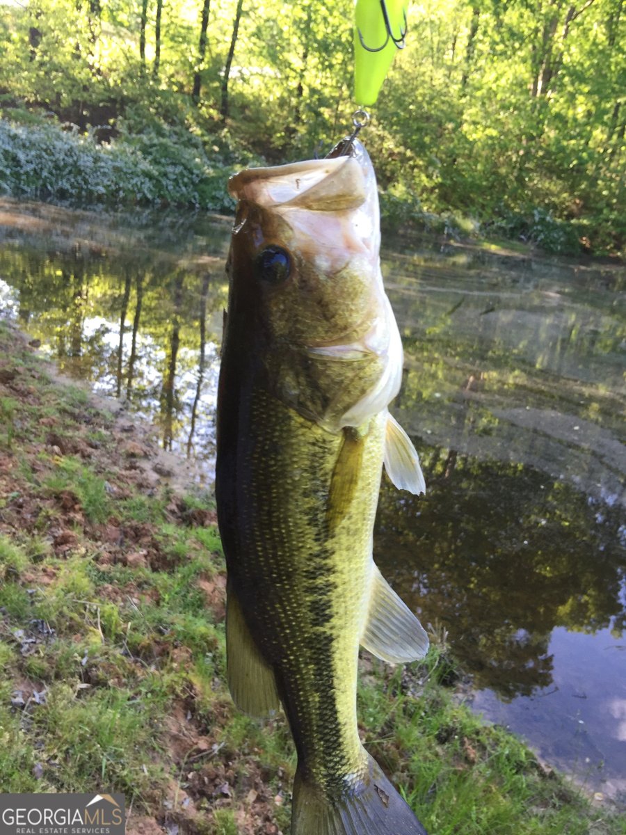 508 Millertown Road Temple - 2