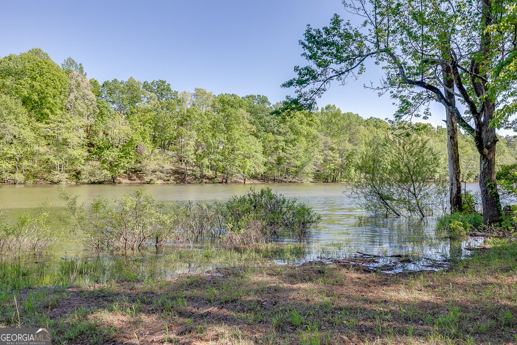 2930 Aquitania Lane Cumming - 35