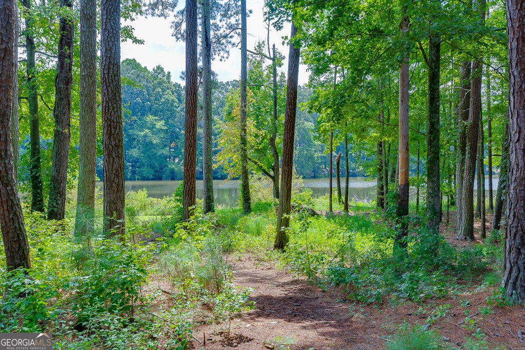 2930 Aquitania Lane Cumming - 36