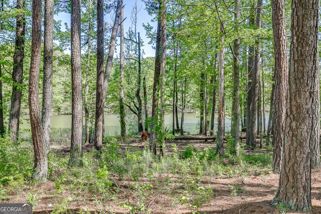 2930 Aquitania Lane Cumming - 37