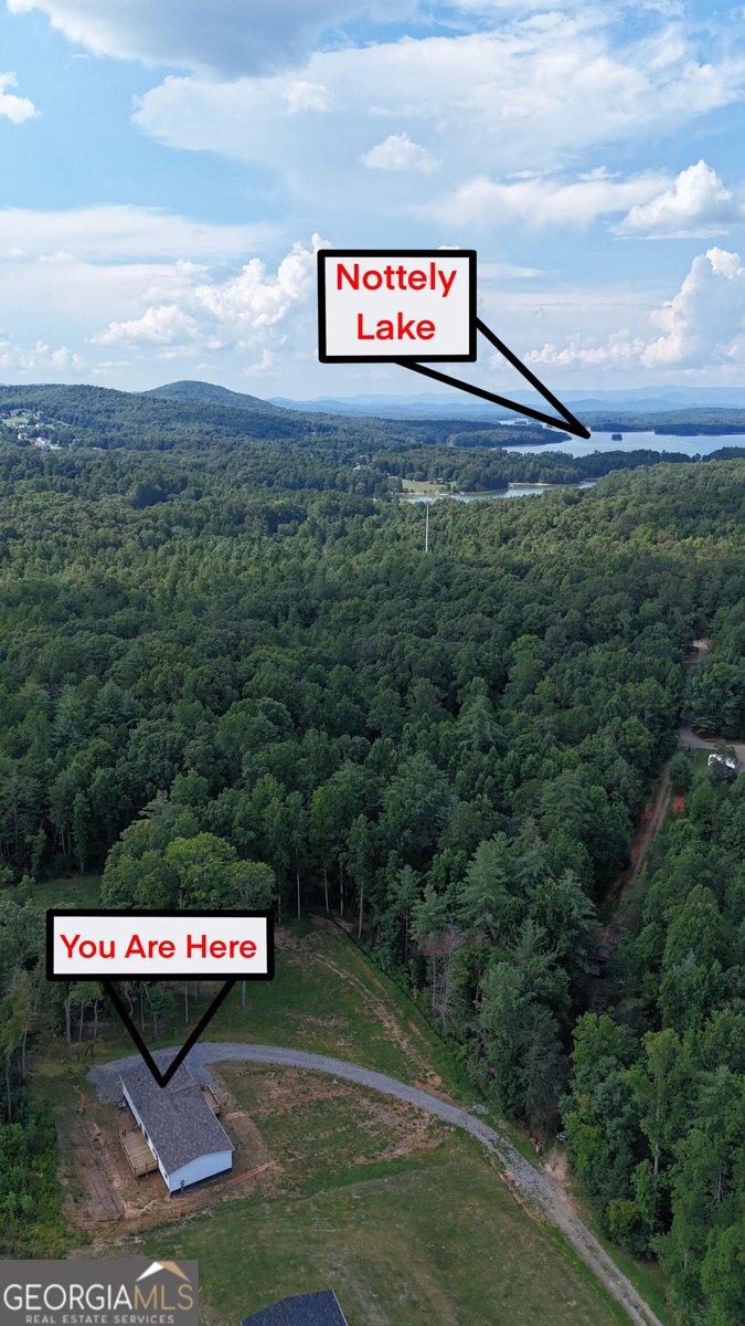 79 Jackobean Drive Blairsville - 13