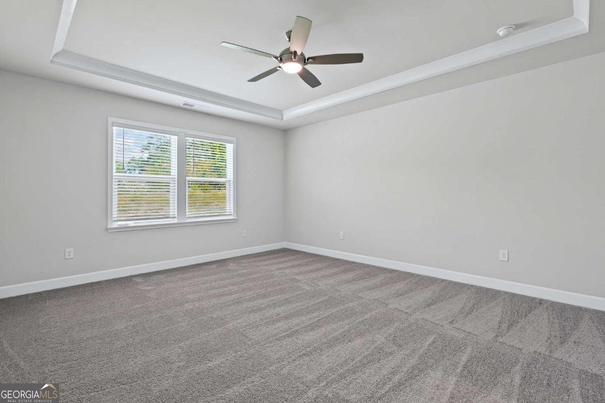 221 Kindness Circle Mcdonough - 21