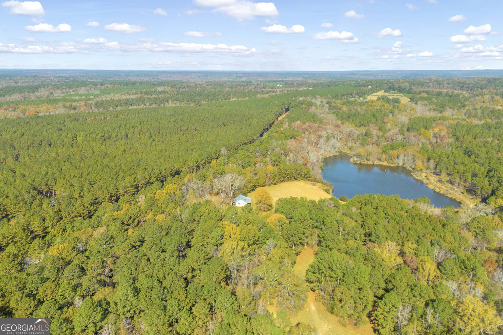 23824 Ga Highway 22 Sparta - 52