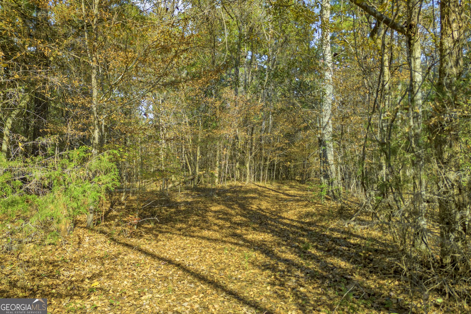 23824 Ga Highway 22 Sparta - 71