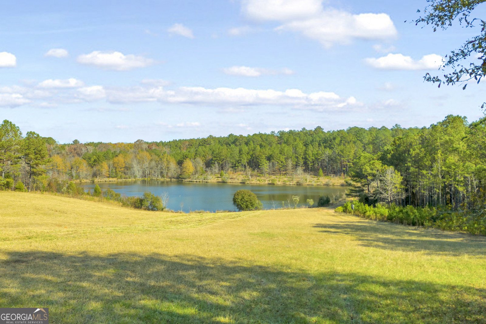 23824 Ga Highway 22 Sparta - 73