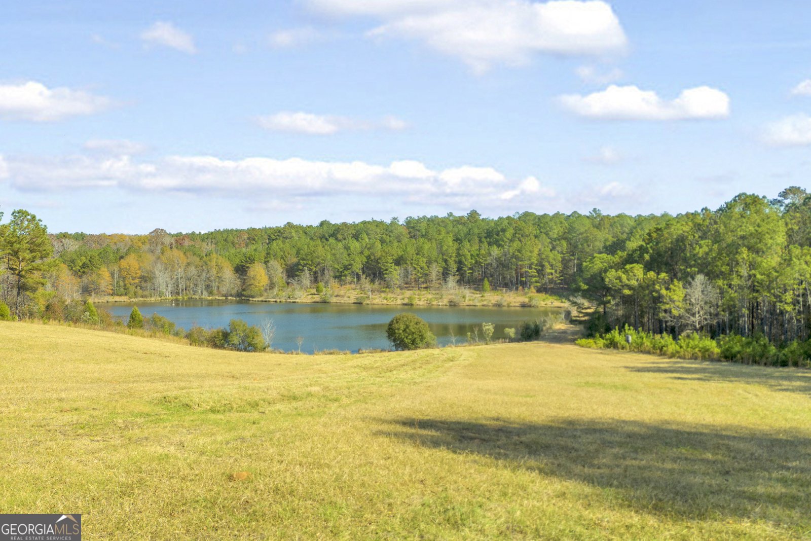 23824 Ga Highway 22 Sparta - 74