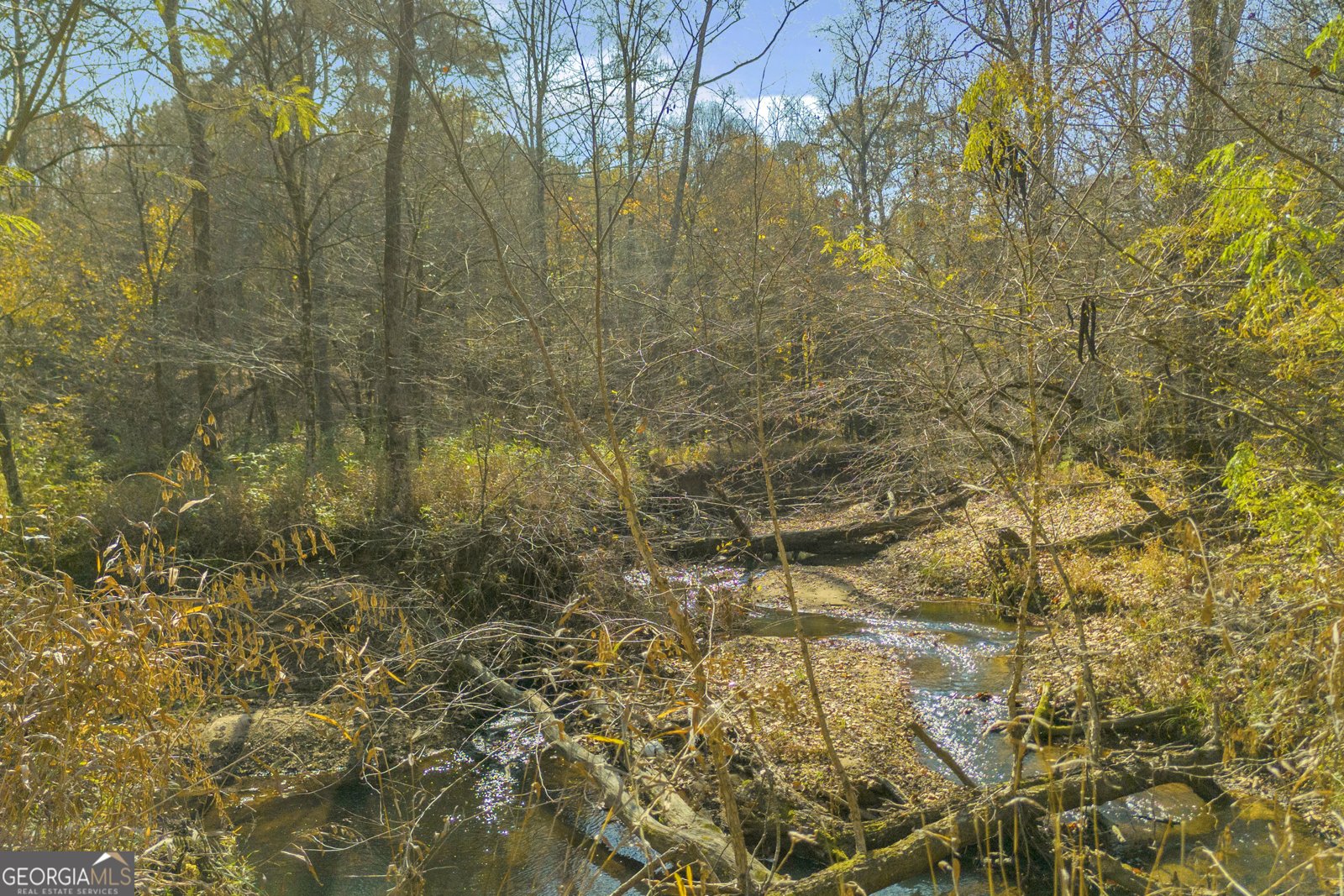 23824 Ga Highway 22 Sparta - 76