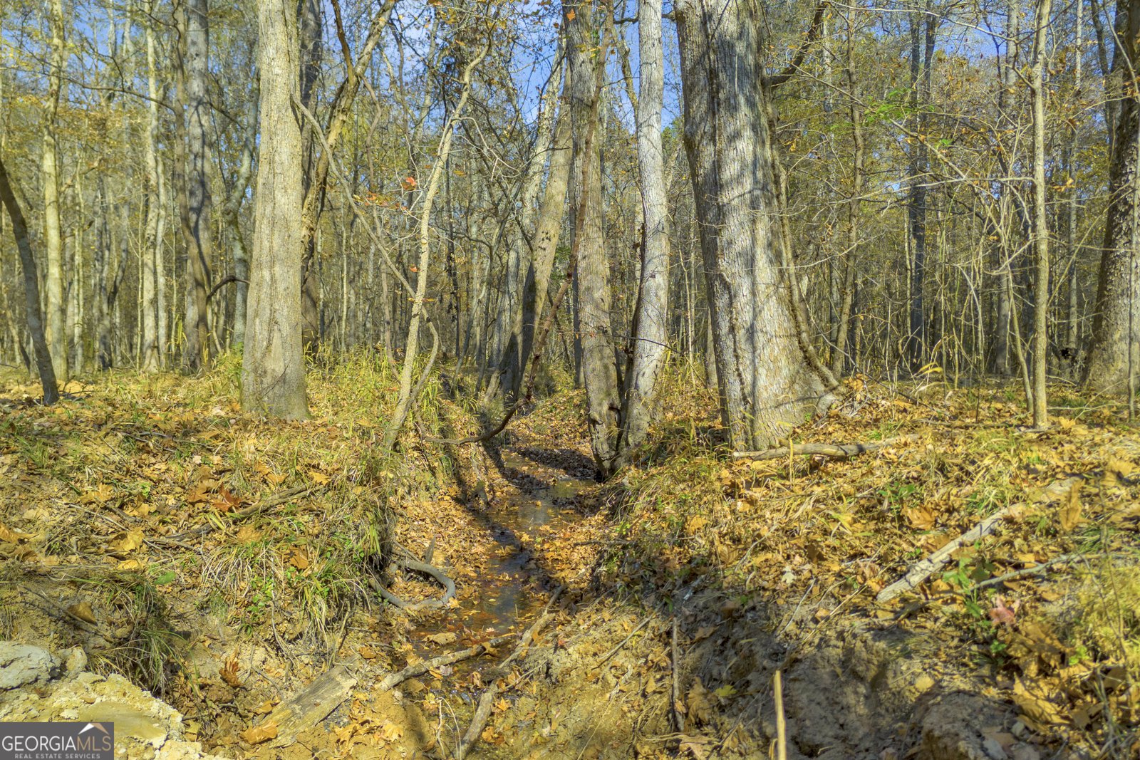 23824 Ga Highway 22 Sparta - 77