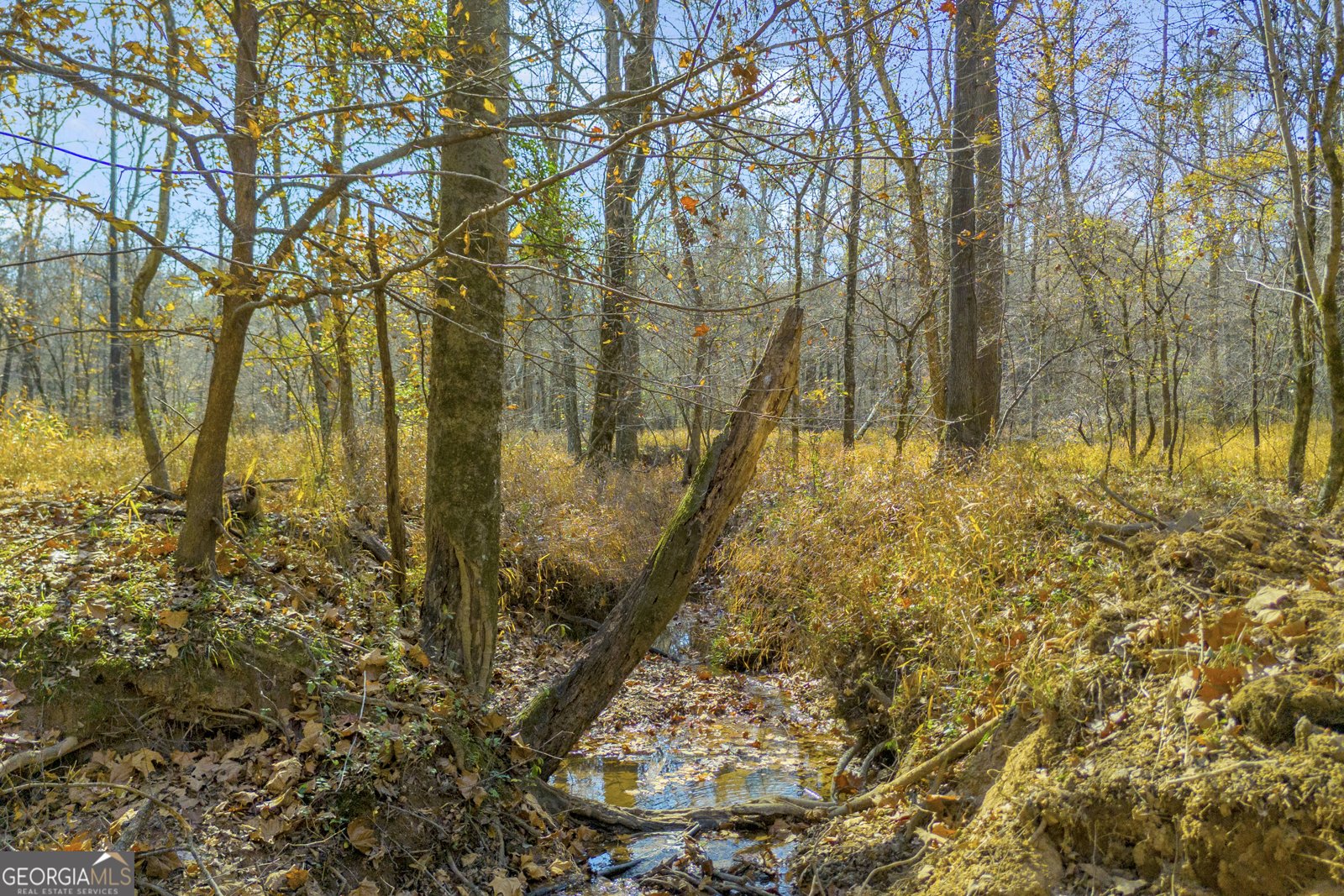 23824 Ga Highway 22 Sparta - 78