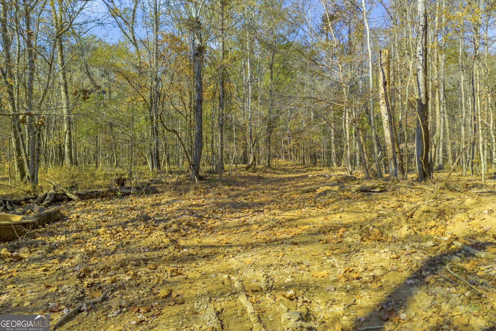 23824 Ga Highway 22 Sparta - 79