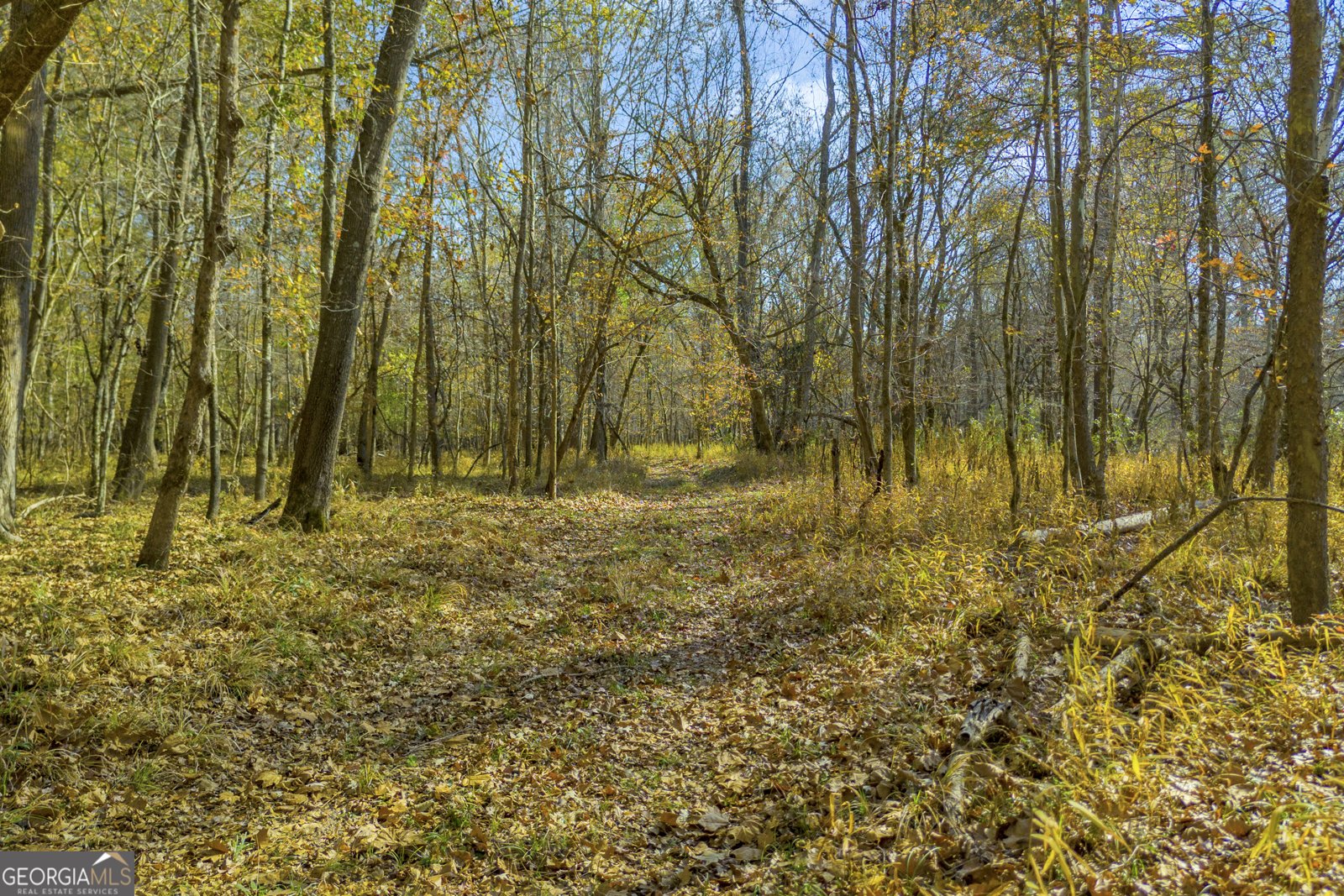 23824 Ga Highway 22 Sparta - 80