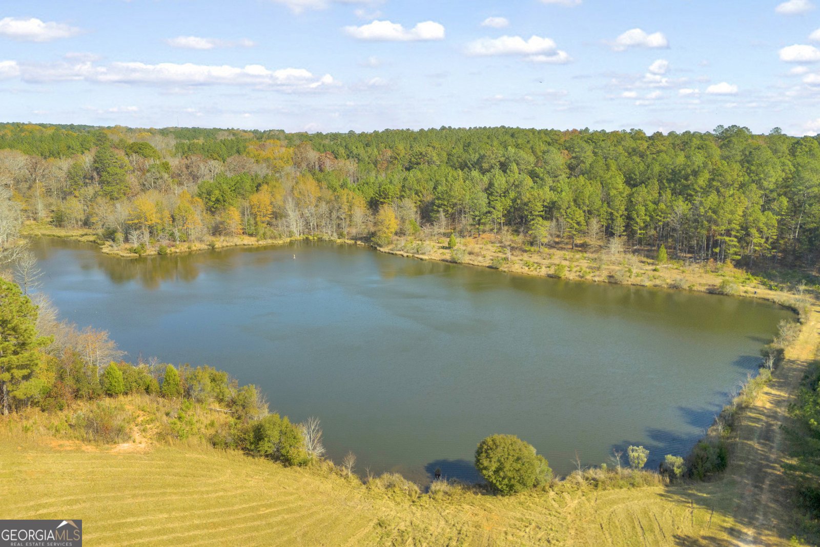 23824 Ga Highway 22 Sparta - 82