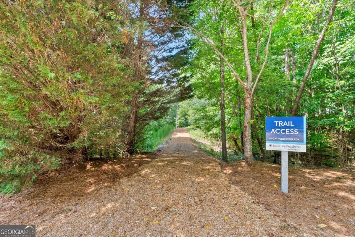 329 SANDY SPRINGS Drive Griffin - 57