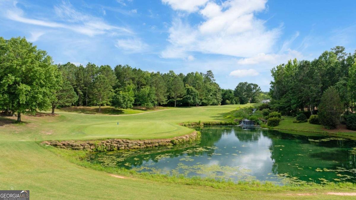 329 SANDY SPRINGS Drive Griffin - 64