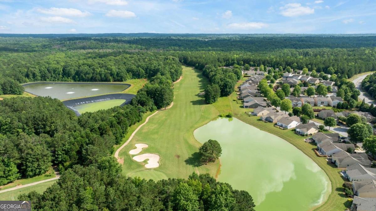 329 SANDY SPRINGS Drive Griffin - 66