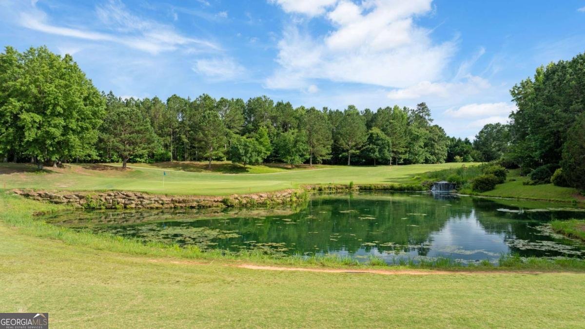 329 SANDY SPRINGS Drive Griffin - 69