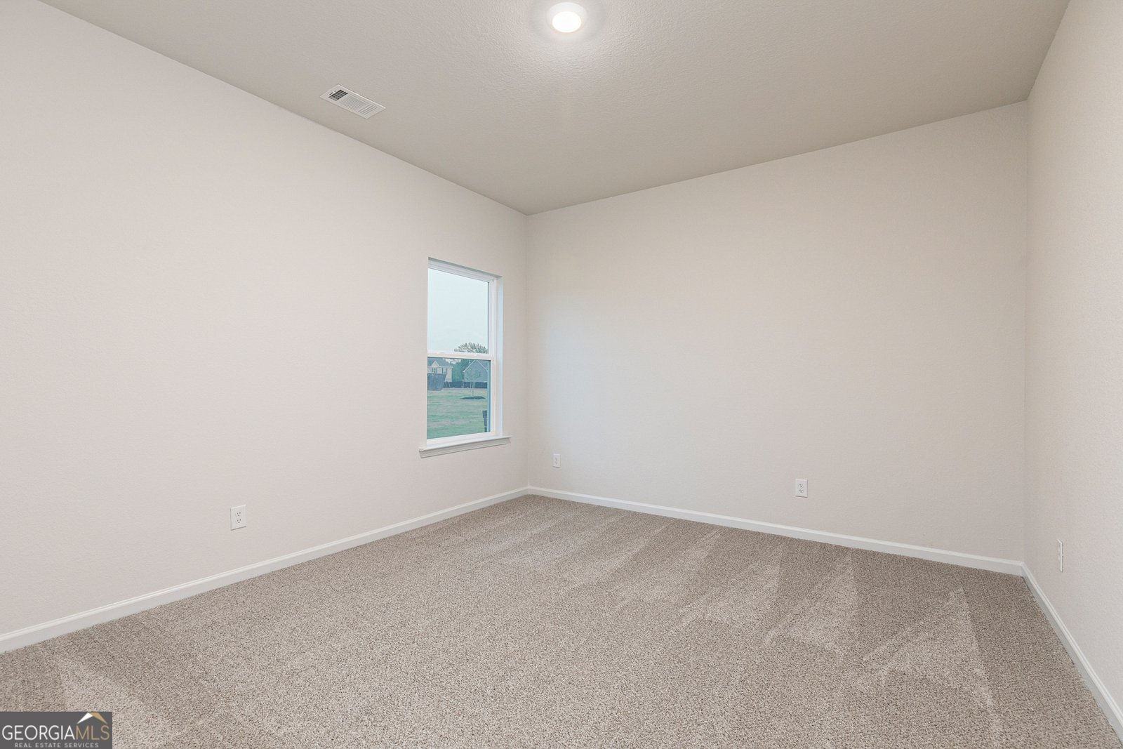 1409 Sodbuster Drive Locust Grove - 17