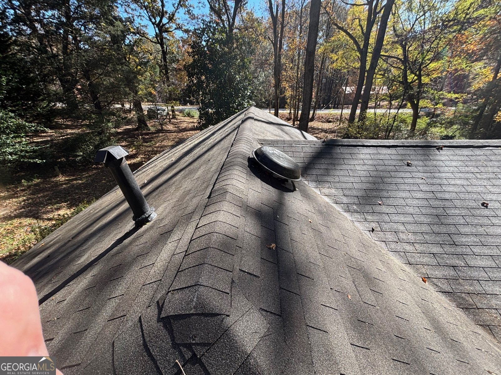 1111 Hemphill Road Stockbridge - 4