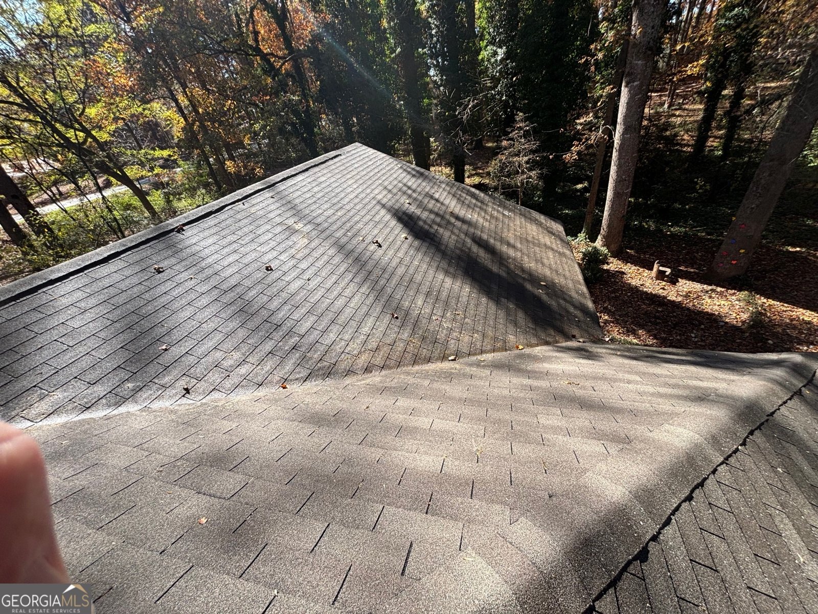 1111 Hemphill Road Stockbridge - 5