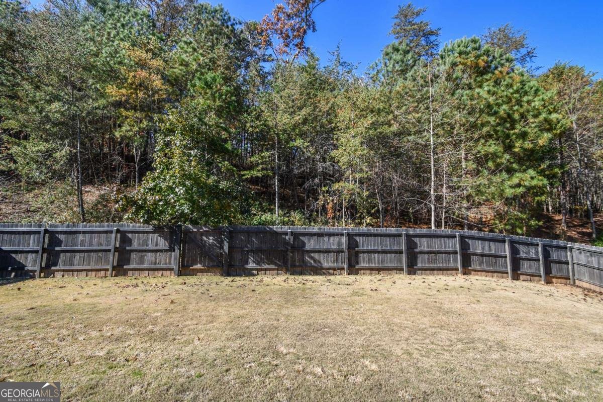 312 FLOWING Trail Dawsonville - 10