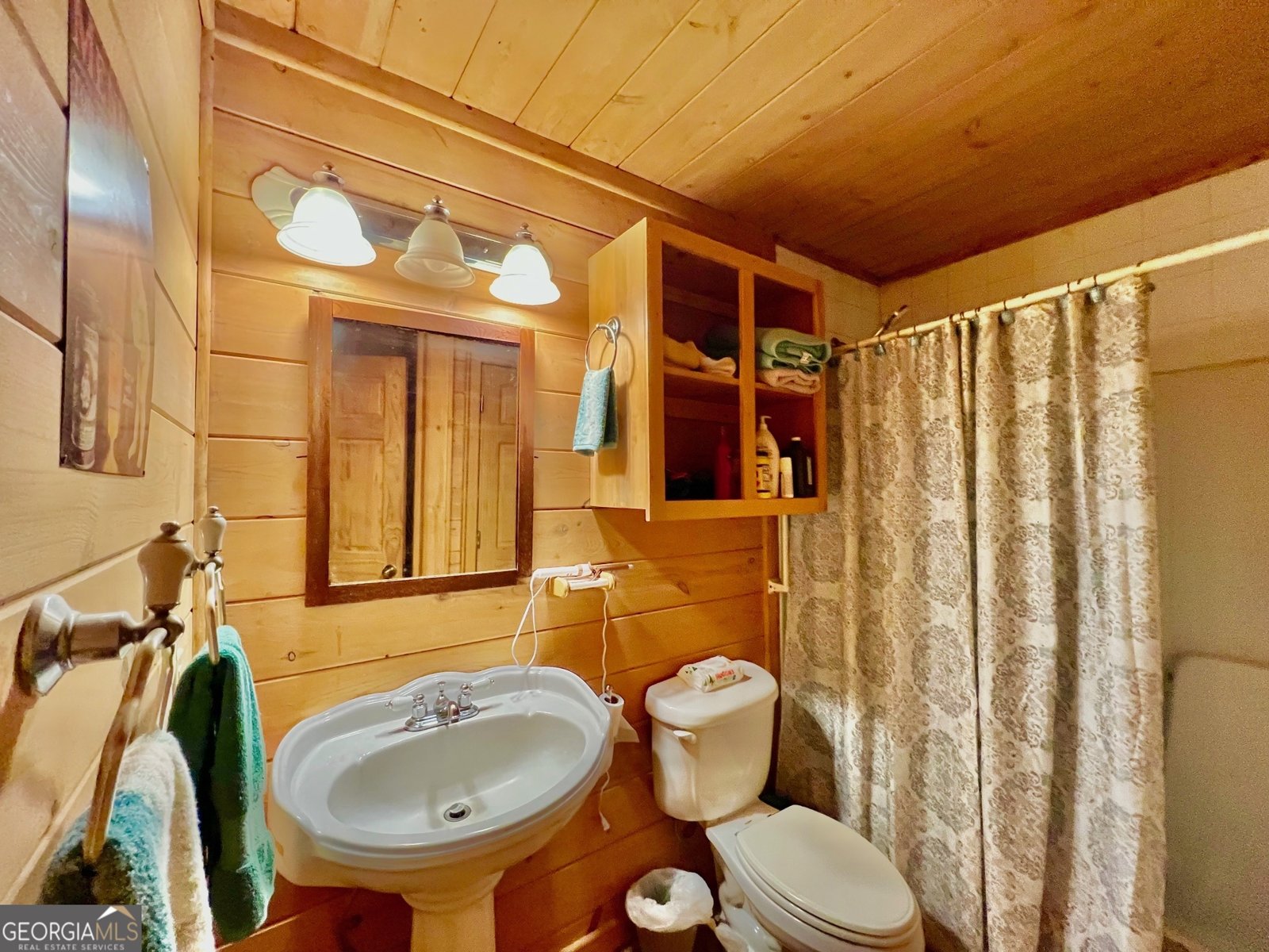 156 Peter Knob Road Blue Ridge - 6