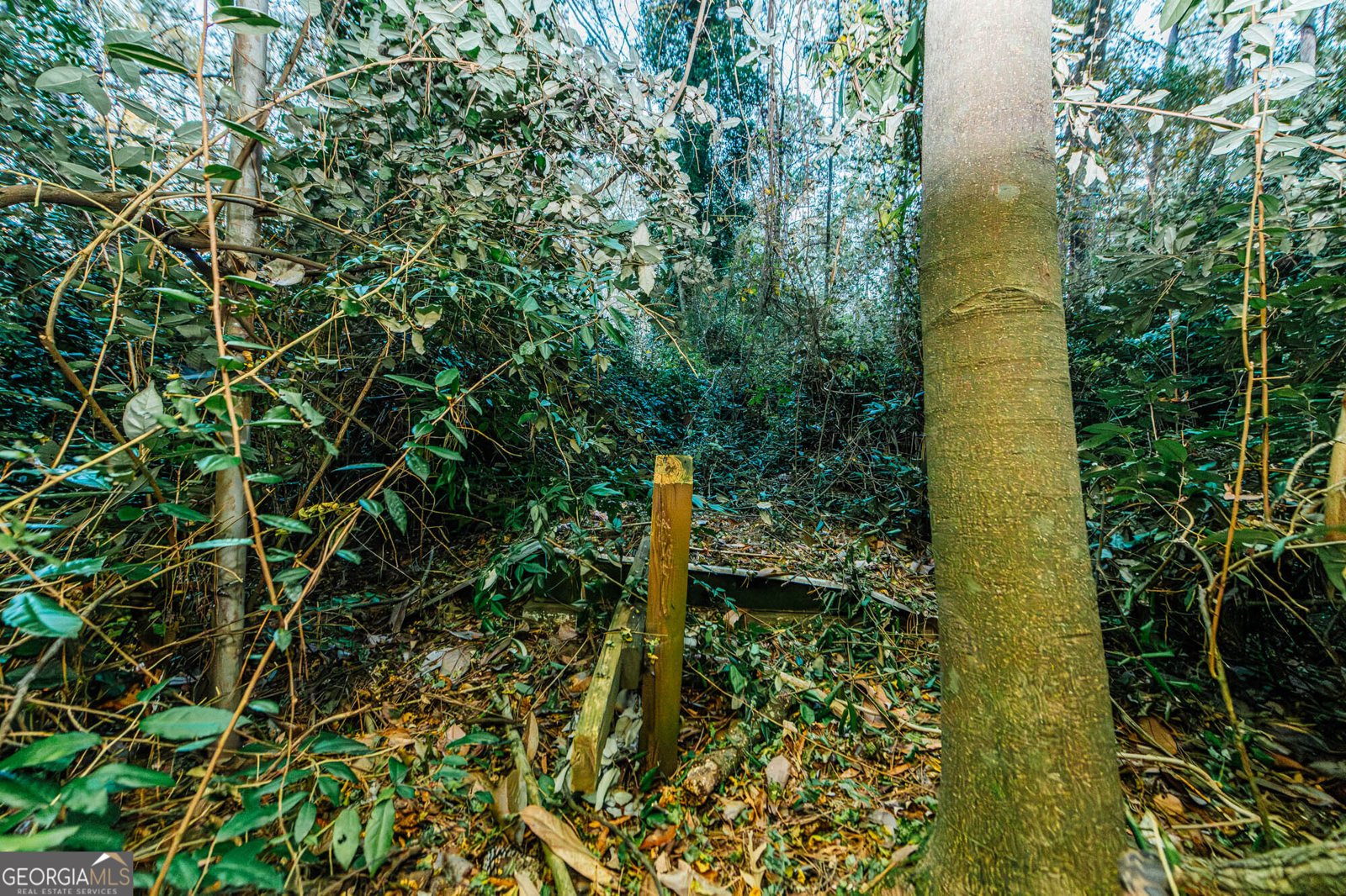 6368 Old Forsyth Road Macon - 40