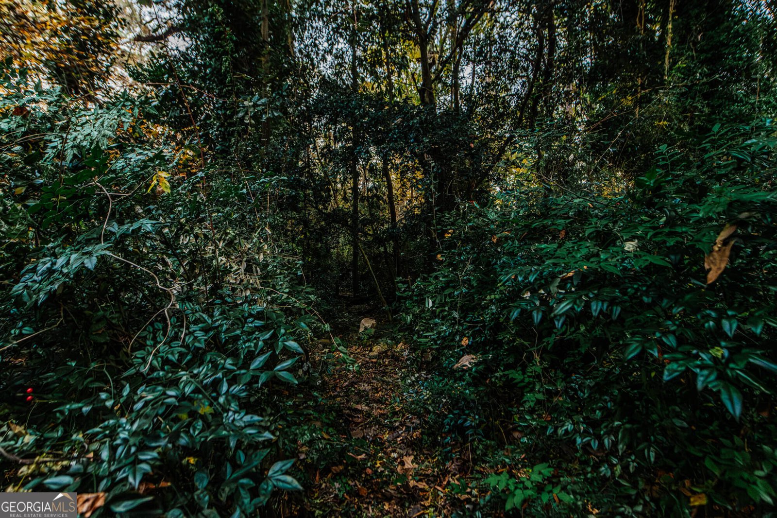 6368 Old Forsyth Road Macon - 42