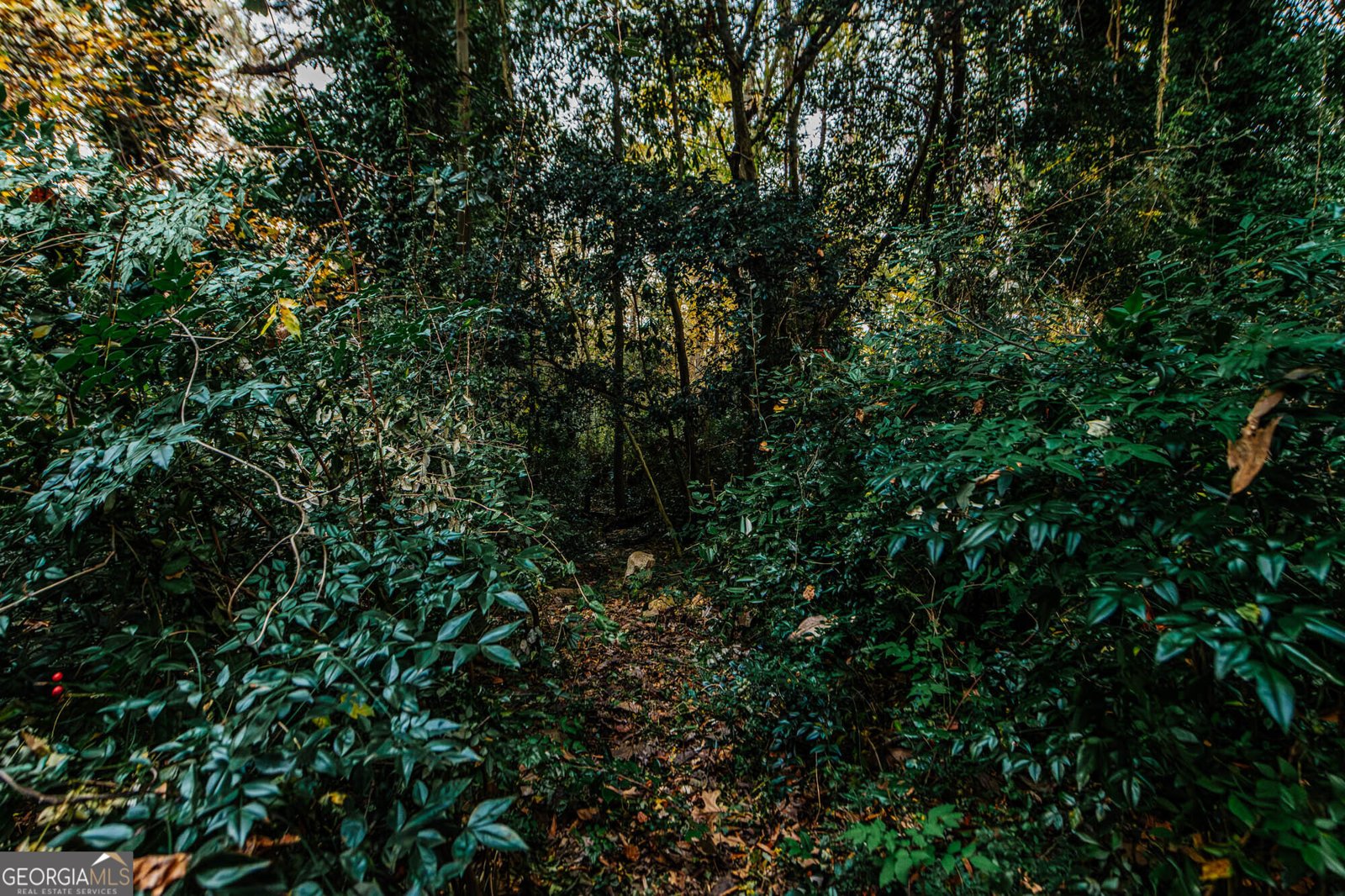 6368 Old Forsyth Road Macon - 43