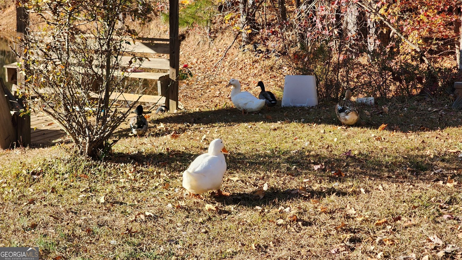 105 Candlewood Path Dallas - 5