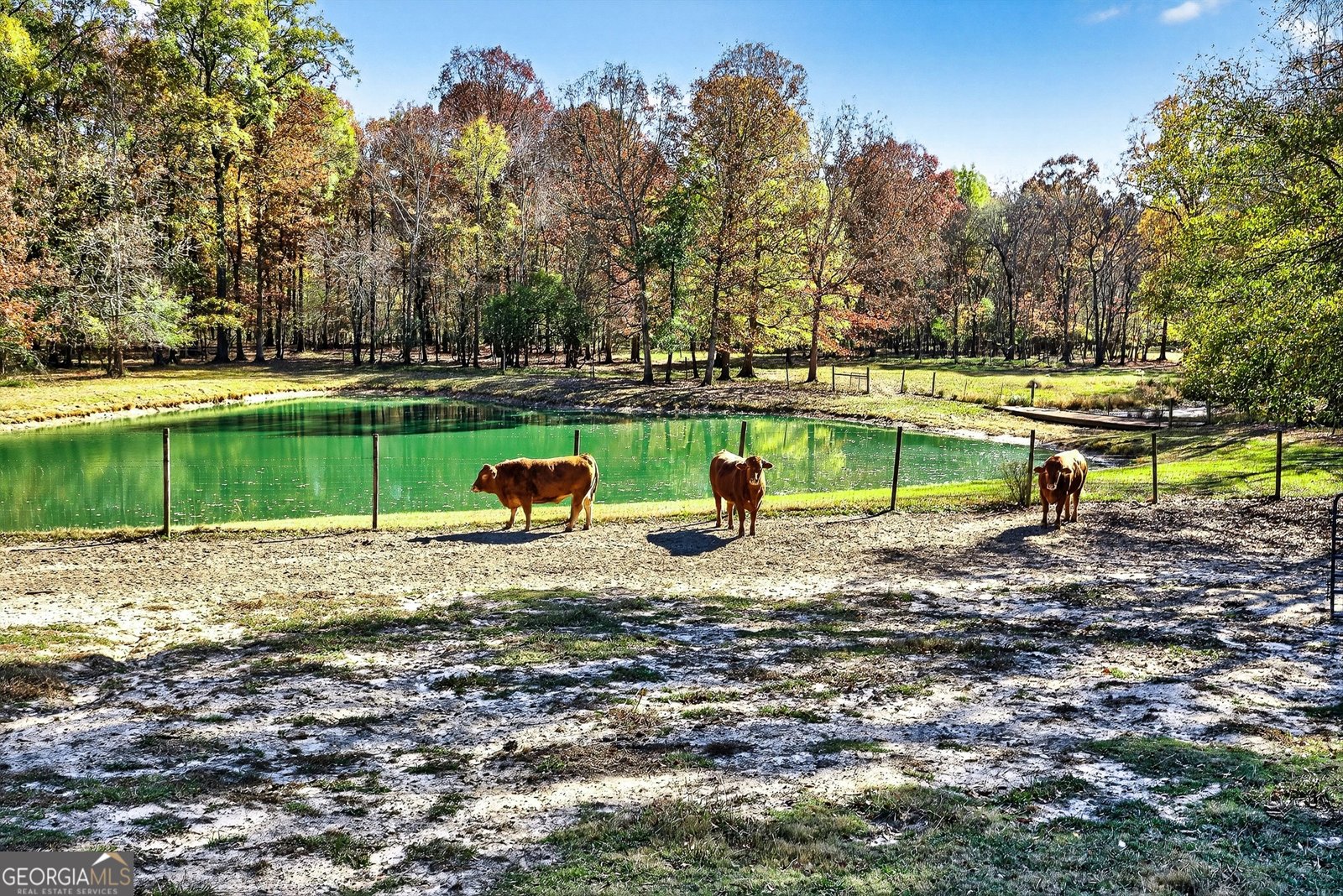 130 Elsberry Lane Brooks - 73