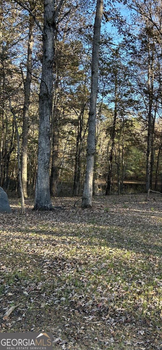 5962 Ga. Hwy. 109 Molena - 28