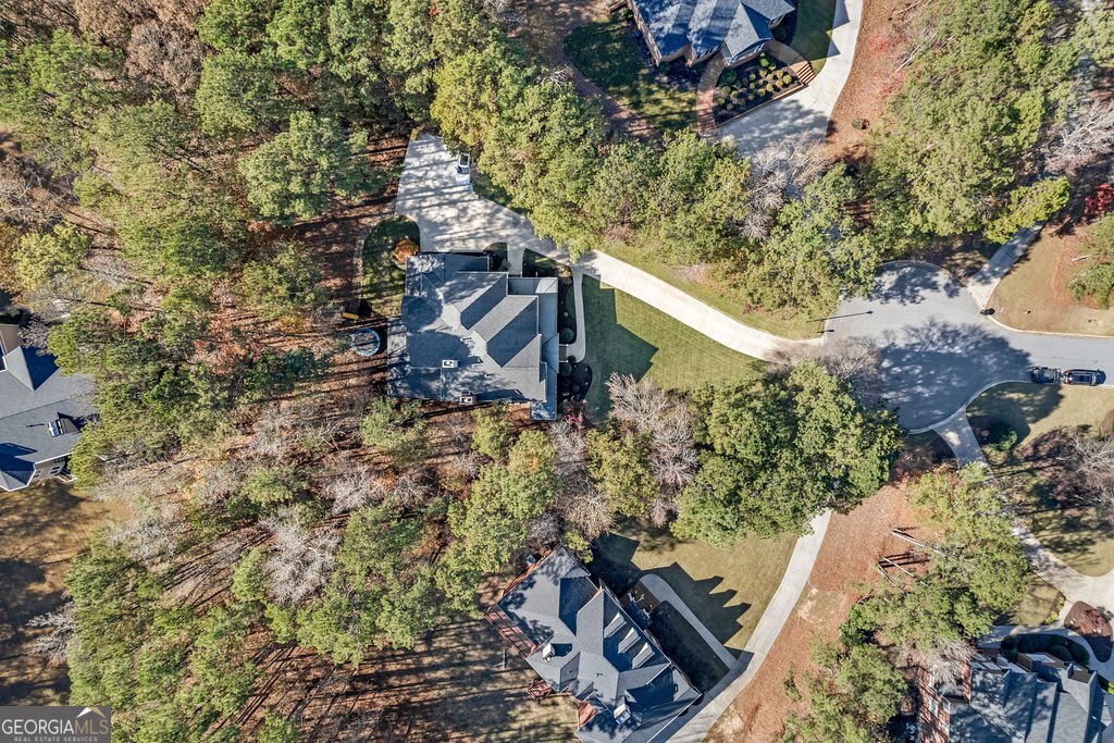 45 Rose Arbor Court Newnan - 4