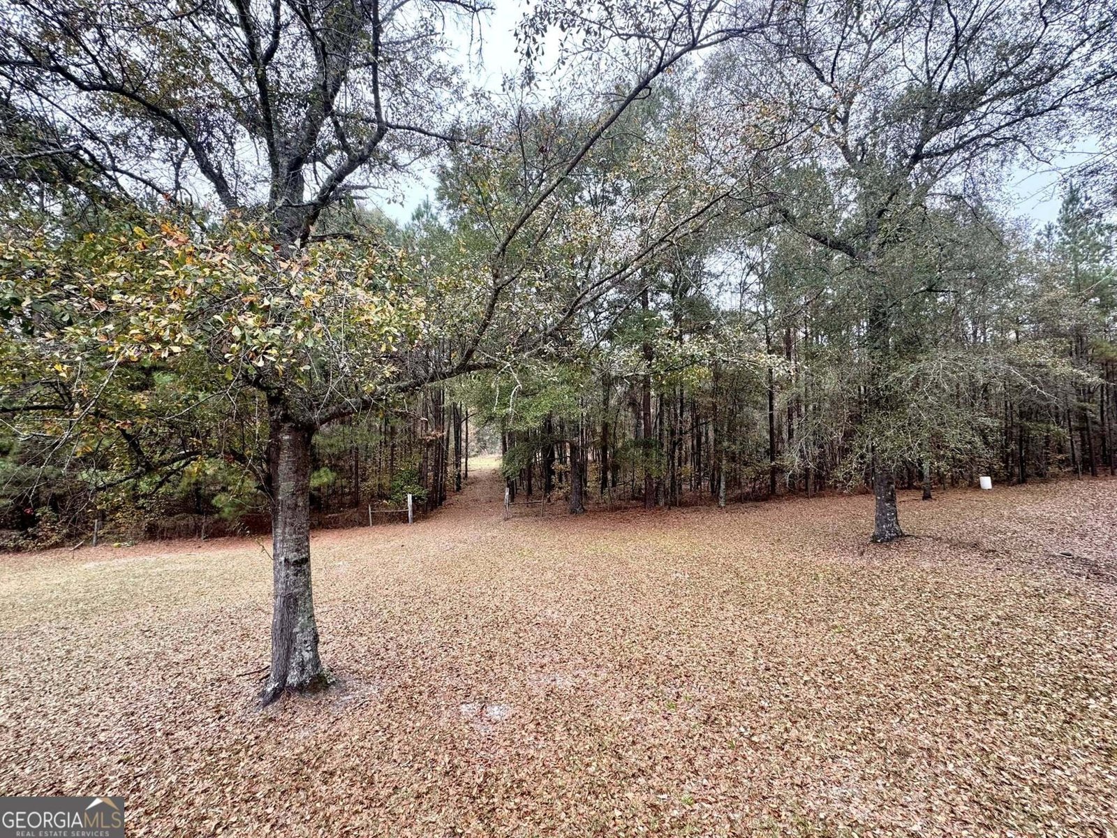 3422 Pat Mullis Road Cadwell - 27