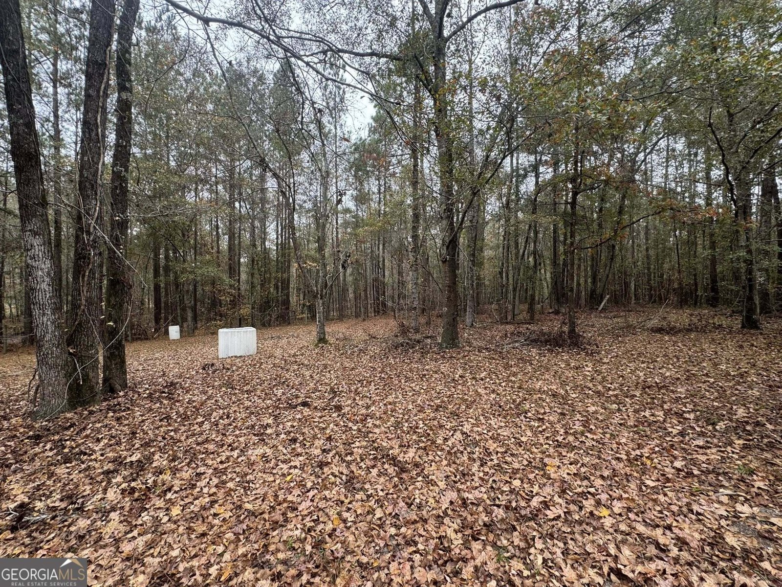 3422 Pat Mullis Road Cadwell - 29