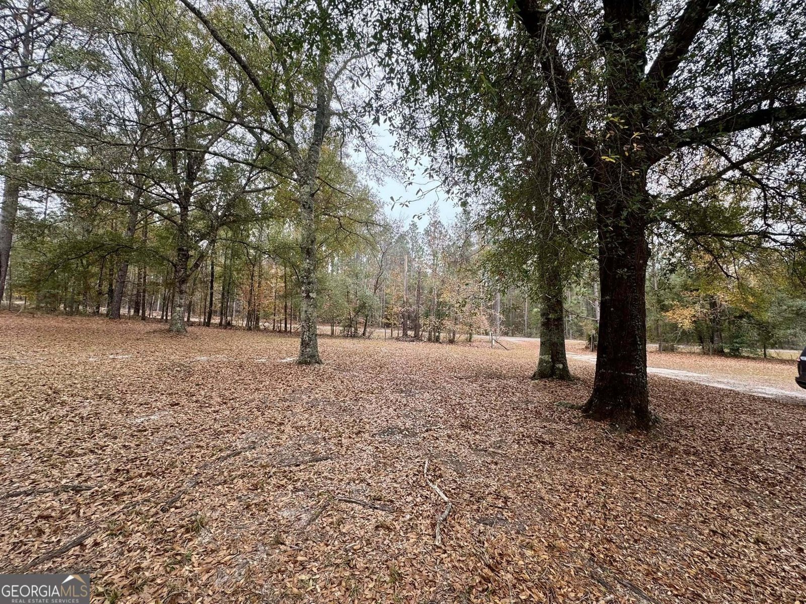 3422 Pat Mullis Road Cadwell - 30