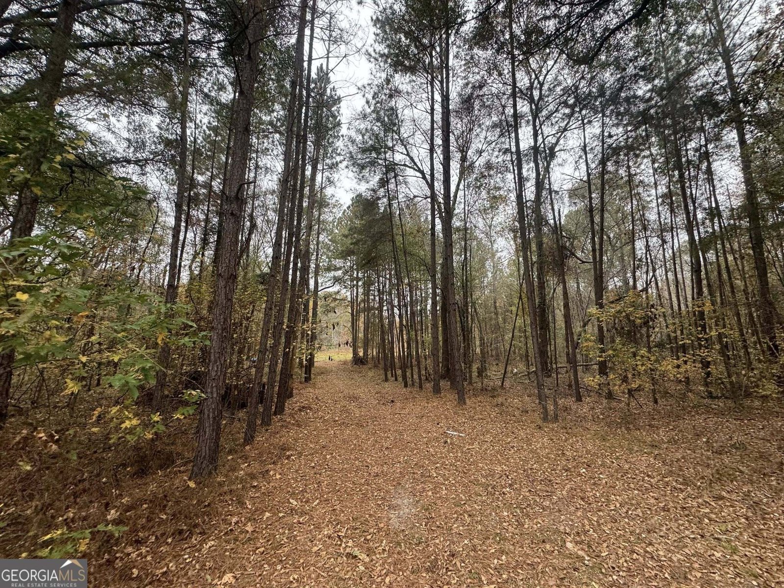 3422 Pat Mullis Road Cadwell - 31