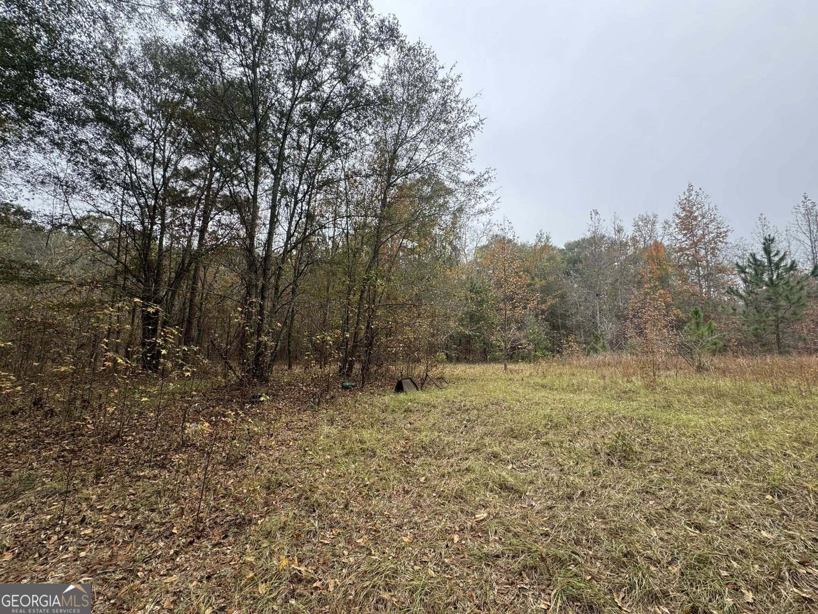 3422 Pat Mullis Road Cadwell - 32