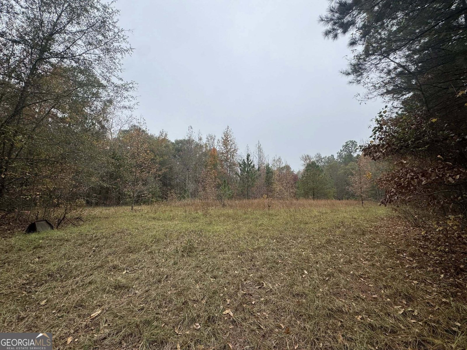 3422 Pat Mullis Road Cadwell - 33