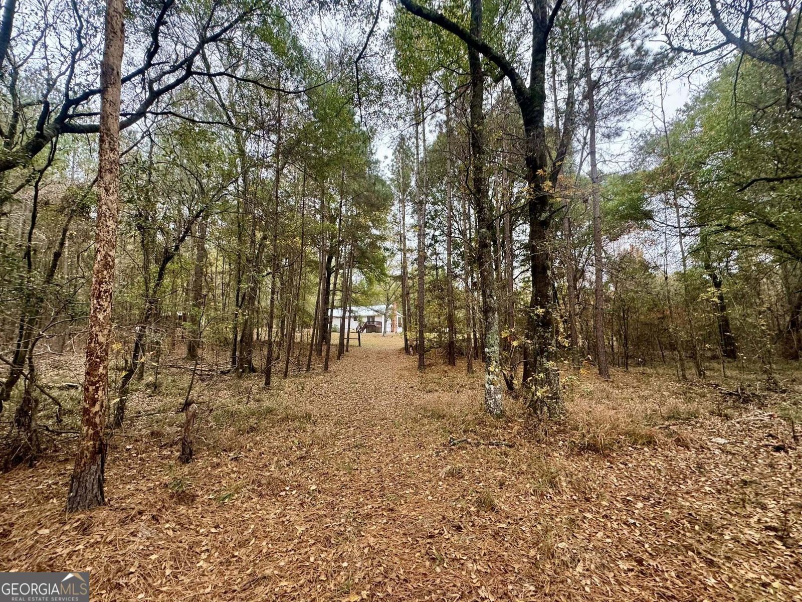 3422 Pat Mullis Road Cadwell - 34