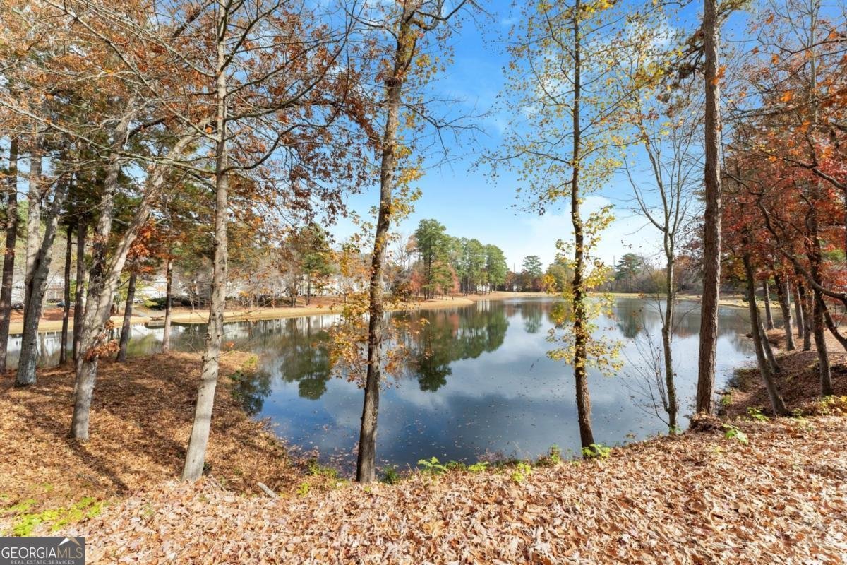 3301 Lathenview Court Alpharetta - 20