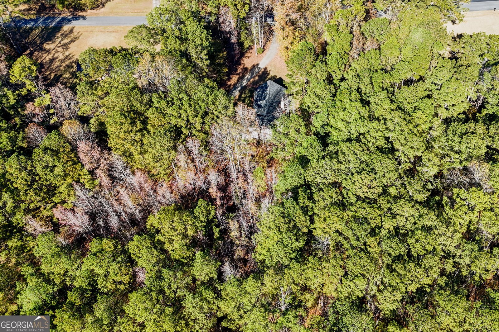 500 Laurelwood Drive Tyrone - 36