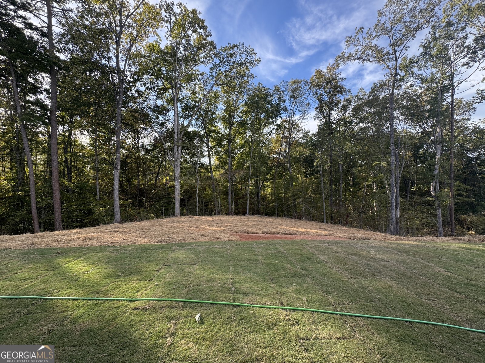 3360 Trevi Trail Douglasville - 5