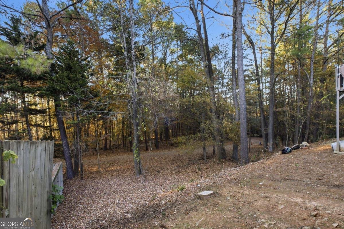 2491 Valley Cove Drive Duluth - 20