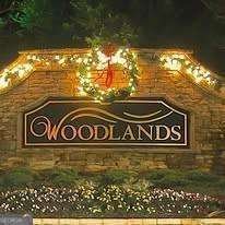 319 Dexter Drive Woodstock - 47