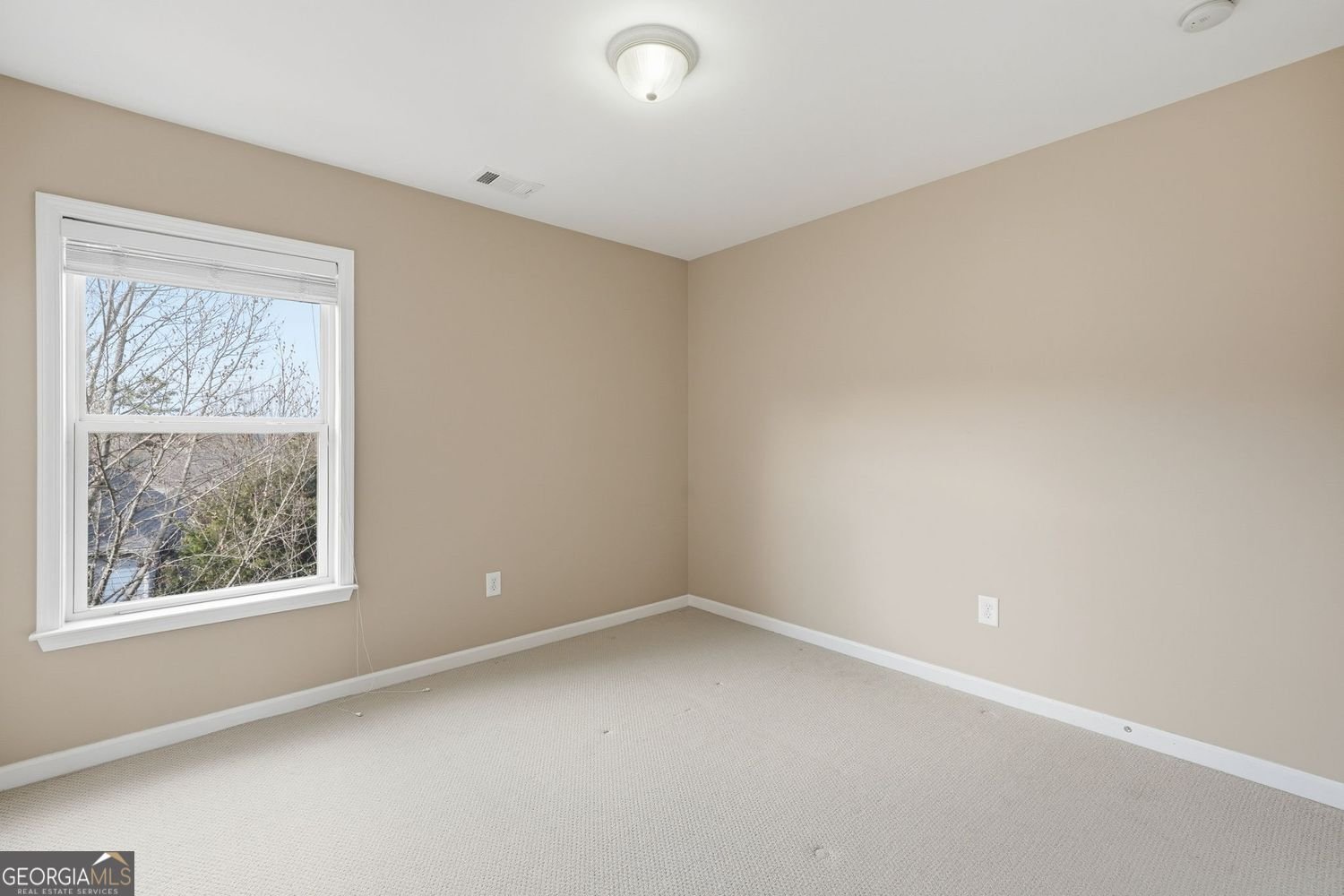 120 Bevington Lane Woodstock - 24