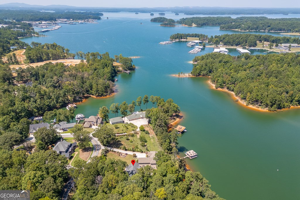 3441 Shoreland Drive Buford - 4