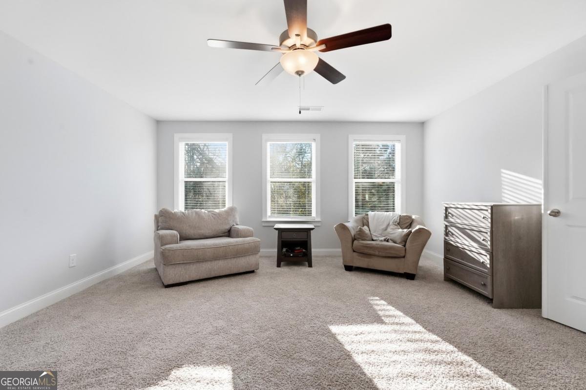 8745 Hightower Ridge Ball Ground - 17